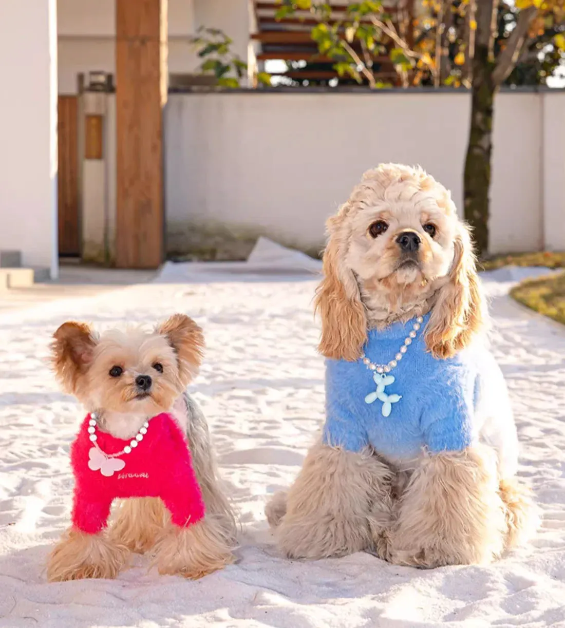 New Season, New Styles: Dog and Cat Sweaters for Autumn and Winter - Cozy and Fashionable Pet Clothes