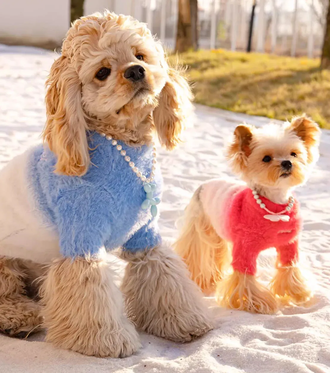 New Season, New Styles: Dog and Cat Sweaters for Autumn and Winter - Cozy and Fashionable Pet Clothes